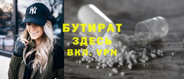 крисы Бородино