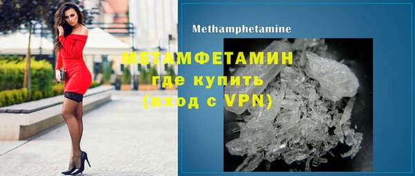 крисы Бородино