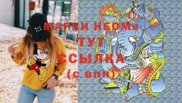 крисы Бородино
