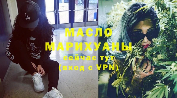 крисы Бородино