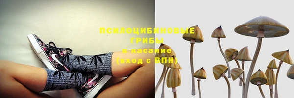 ECSTASY Верея