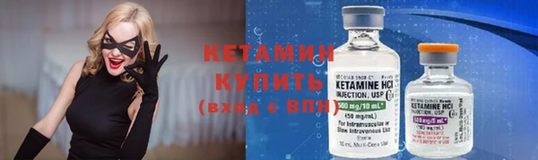 крисы Бородино