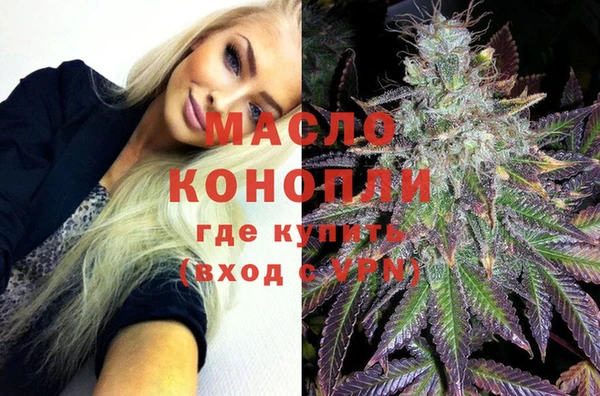 крисы Бородино