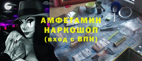 крисы Бородино